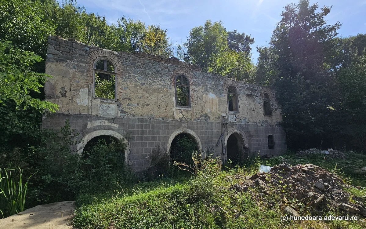 Mina Coranda. Foto: Daniel Guță. ADEVĂRUL
