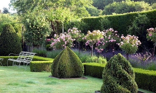 1 70560 original jpg jpeg