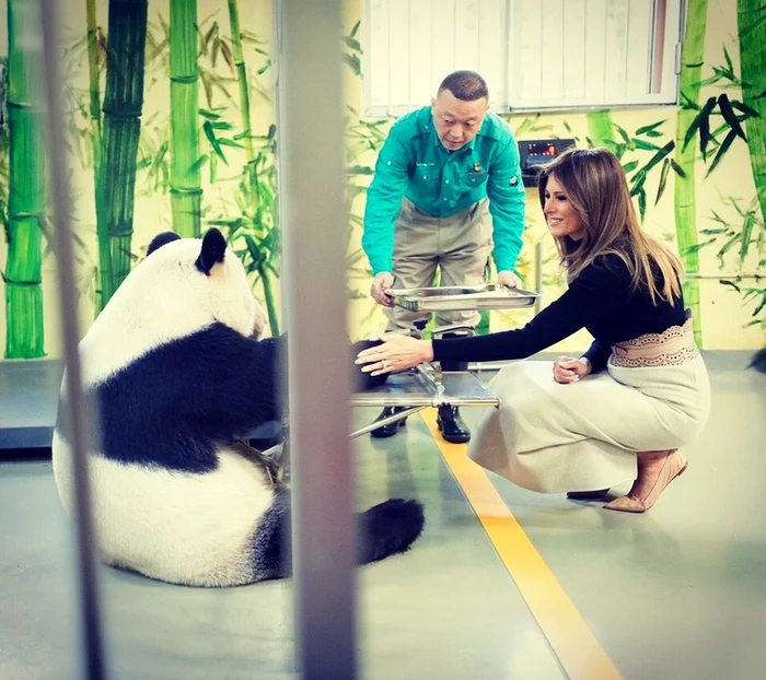 Melania Trump l-a mângâiat pe Gu Gu