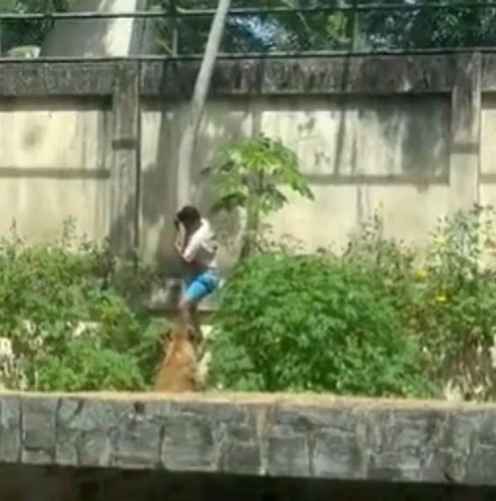 Adolescentul a sărit gardul grădinii zoologice (Foto: captură video)