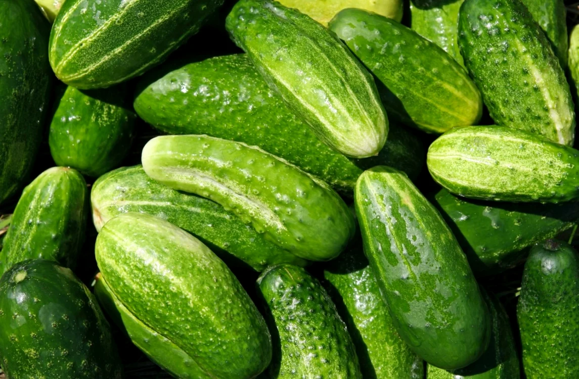 Castraveţii detoxifică organimsul şi ajută la slăbit
