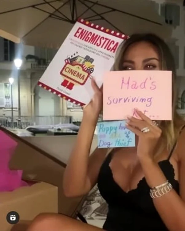 19 230631572 544531393335562 6045298537106478203 n jpg jpeg