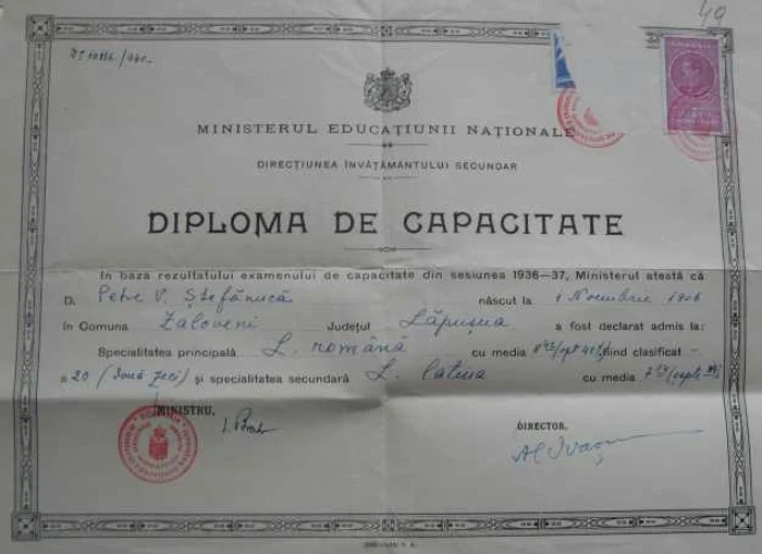 petre stefanuca diploma