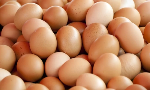 1 shutterstock 106377050 jpg jpeg