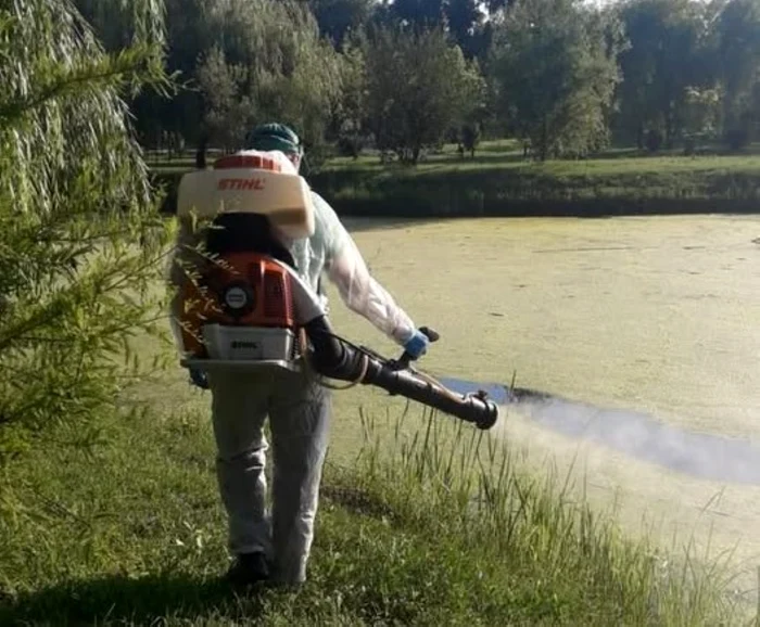 Dezinsecție în Sectorul 1 contra ţânţarilor şi căpuşelor. De marţi încep stropirile în parcuri, locuri de joacă, pieţe şi zone cu vegetaţie