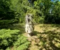 Parcul dendrologic Simeria Foto Daniel Guță ADEVĂRUL (8) jpg