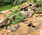 Impactul fenomenelor meteorologice severe asupra patrimoniului din Sinaia (© Ministerul Culturii)