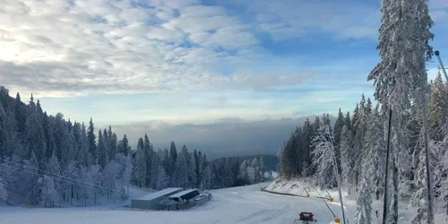 Zapada facebook poiana brasov jpg