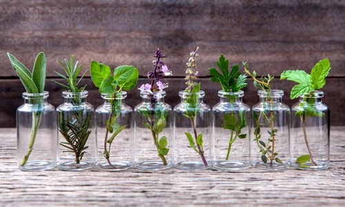 1 74581 original jpg jpeg