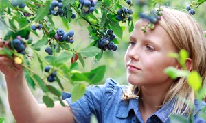 shutterstock 108793661 2 jpeg