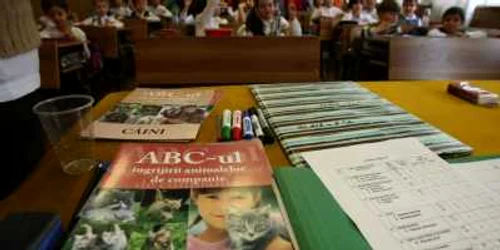 Statul român alocă anual sume ridicole pentru unităţile de învăţământ