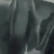 Sequence 01 3 (1) gif