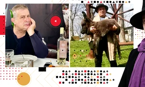 cub mircea dinescu png