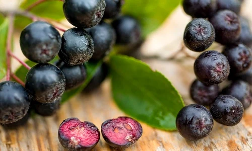 aronia fruct jpeg
