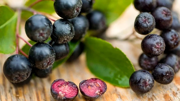 Aronia are un conținut ridicat de vitamina C