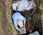 Cercetări arheologice la tumulii din Băicoi (© Muzeul Județean de Istorie și Arheologie Prahova)