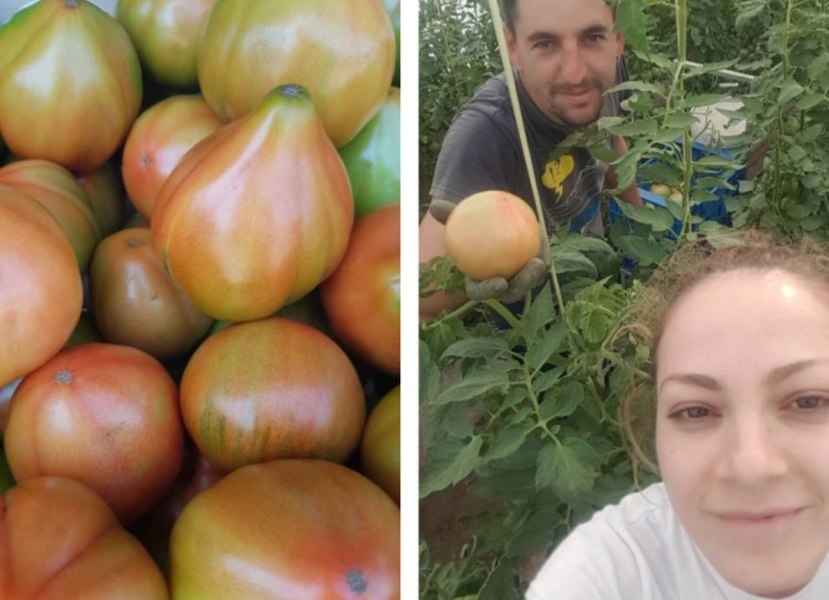 De la munca în câmp la succesul în afaceri: Povestea românilor care vând roșii cu gust de România în Spania