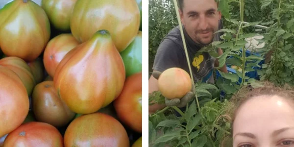 Los Tomatos Adrian si Adriana  Stiri Diaspora jpg