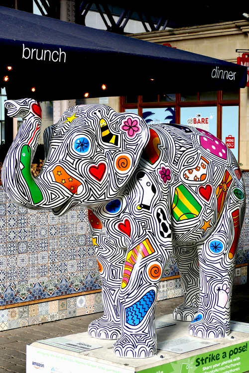 Fiecare elefant are un design unic (Foto: Profimedia)
