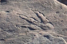 O fetiță de patru ani a descoperit o urmă de dinozaur pe o plajă din Țara Galilor jpeg