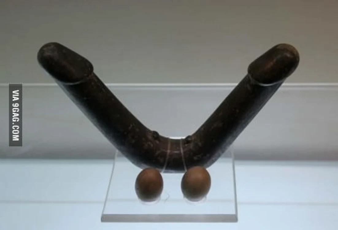 
    Vibratorul descoperit în China (foto: 9gag.com)  