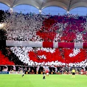 dinamo facebook jpg