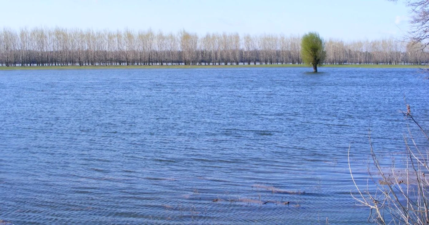 Dunărea la Cozia