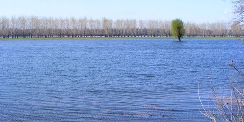 dunărea la cozia