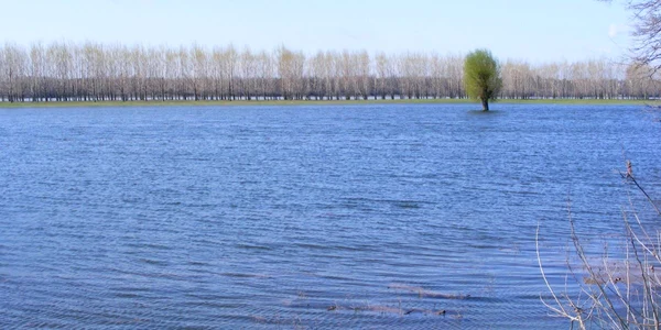 dunărea la cozia