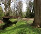 Parcul dendrologic Simeria Foto Daniel Guță ADEVĂRUL (59) JPG