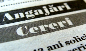 locuri de munca angajari cereri anunturi