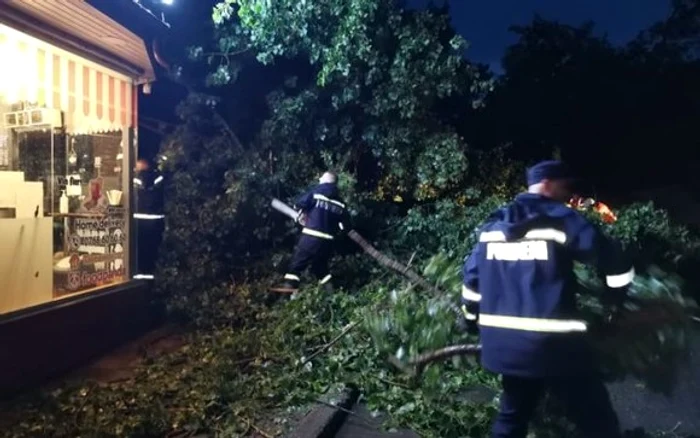Pompierii au intervenit pentru a înlăturca copacii doborâți de furtună Sursă foto: Facebook Ionuț Pucheanu