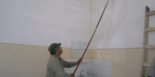 Muncitorii curăţă mucegaiul de pe pereţi