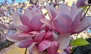 668120447 2779698109061520 51836139341681173 n jpg