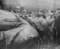 historia ro undefined jpeg