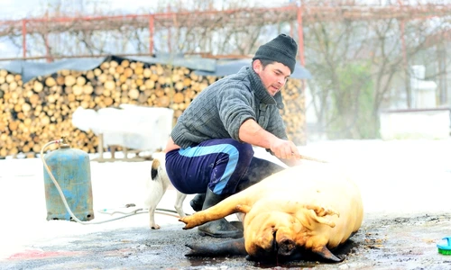 1 shutterstock 534146209 jpg jpeg