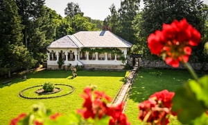 Cula Duca (Maldaresti casa de vacanta jpg