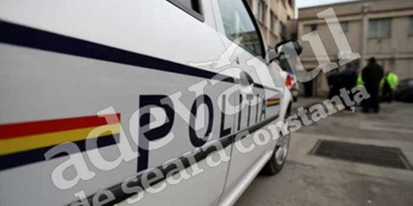 Poliţiştii încearcă să-l identifice pe proprietarul atelajului hipo