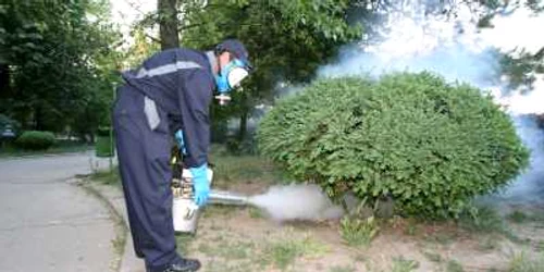 Tratamente preventive împotriva căpuşelor, în parcurile din sectorul 2