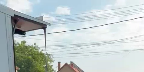 WhatsApp Video 2026 08 07 at 08 20 06 (3) mp4 thumbnail png
