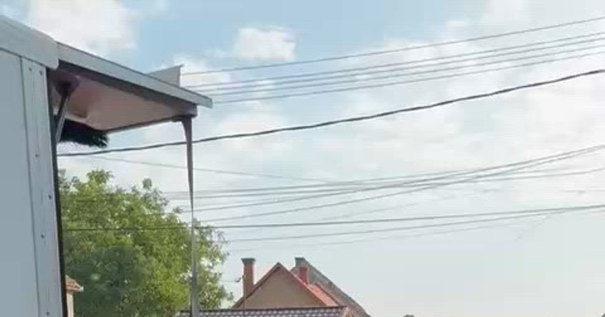 Cum au eliminat cisnădienii samsarii din piață: 8 tone de legume vândute în doar 4 ore. Oamenii stau la coadă: „E incredibil!” FOTO