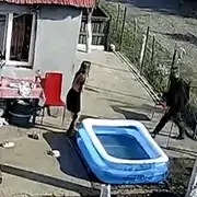 ganj gif gif