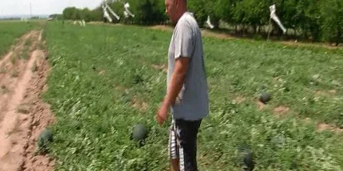 5b18b127df52022f75dcefa4 jpg