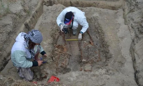 IICCMER organizează o nouă campanie de investigații arheologice în lagărul de la Periprava jpeg