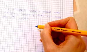 988 21 Cutitaru jpg