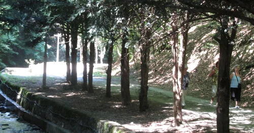 moneasa