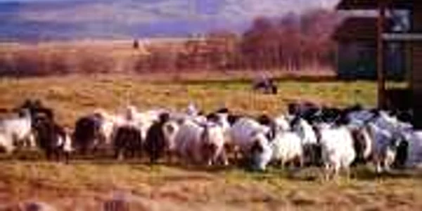 turism maramures