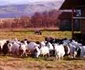 turism maramures