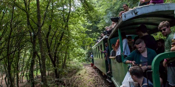 mocanita transilvaniei 10