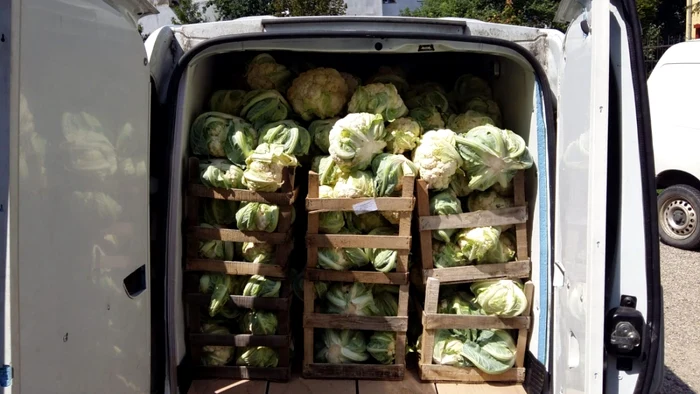 risipa alimentara foto food waste combat